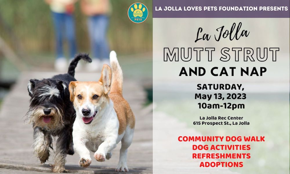 La Jolla Mutt Strut and Cat Nap&nbsp;2023